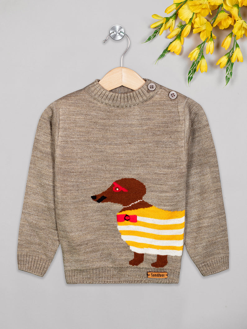 Boys winter woolen full sleeves round neck sweater in beige